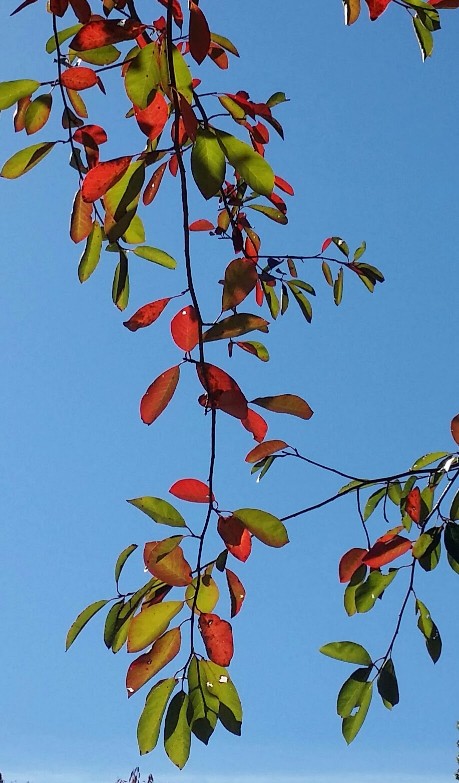 20161105_132508-2 (1).jpg