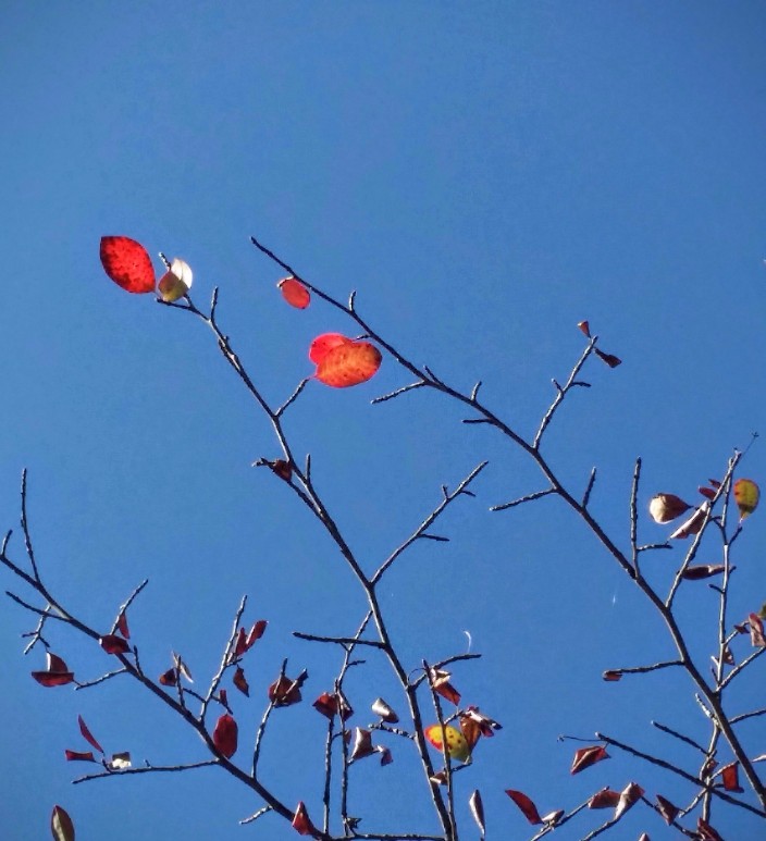 20161105_132405 (1) (1).jpg