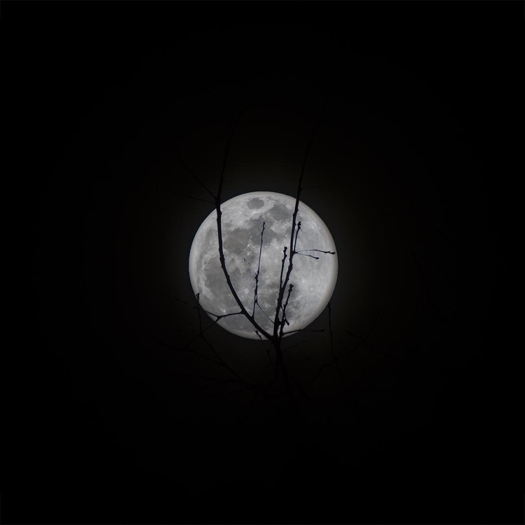 2018 jan 30 super moon.jpg
