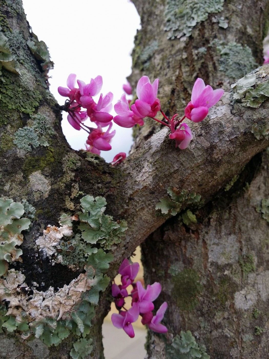 20160328_090318 (1) (1).jpg