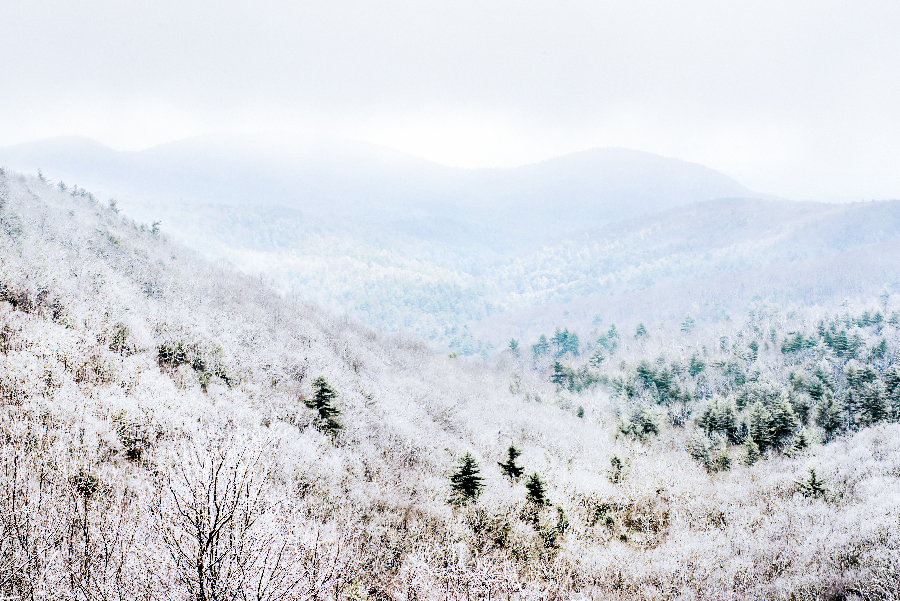 _DSC1456_6215 (2).JPG