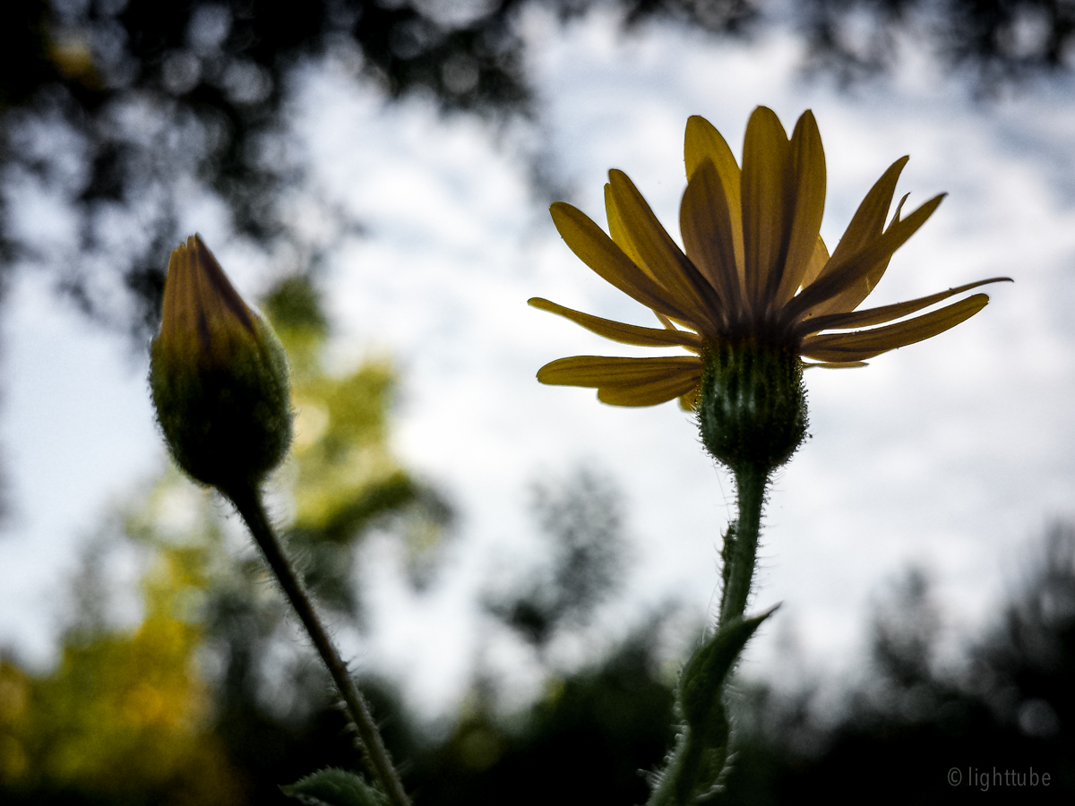 2013-10-03 08.30.14.jpg