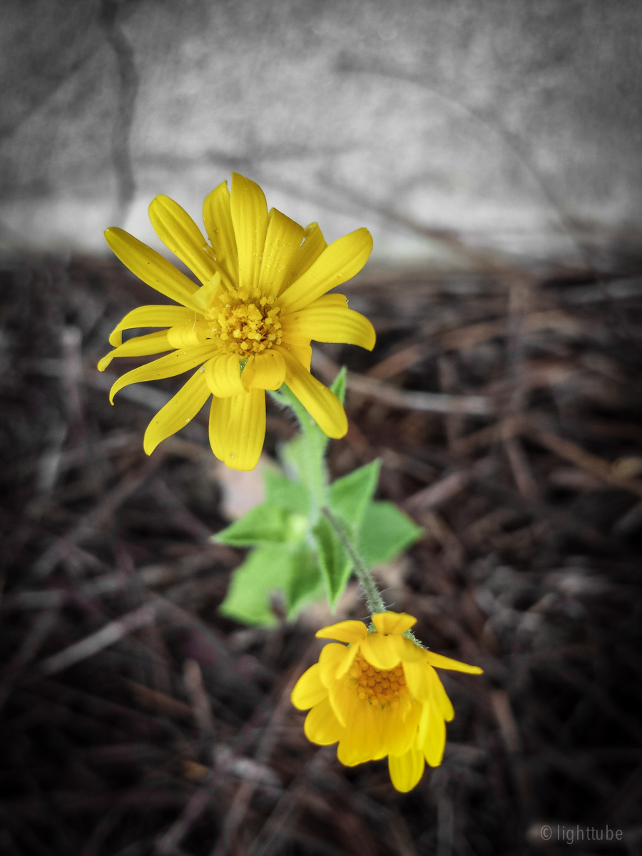 2013-10-04 08.36.14.jpg