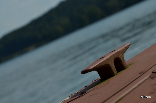 1-DSC_0023.JPG : 호숫가에서 여유를