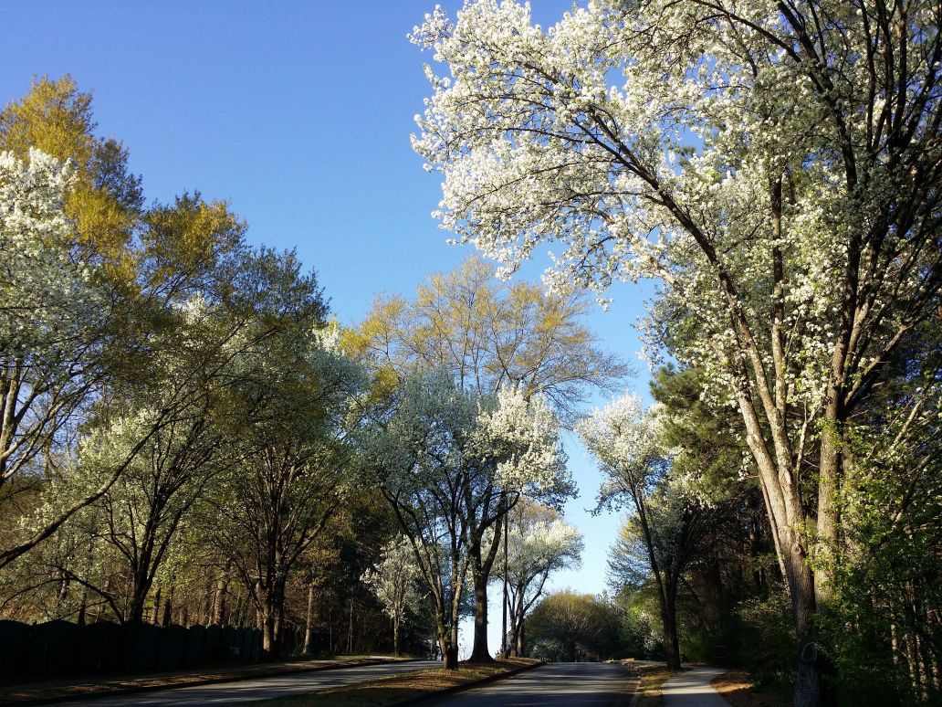 20160317_090059 (1) (1).jpg