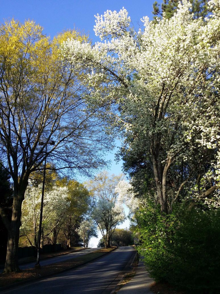 20160317_085932 (2) (1).jpg