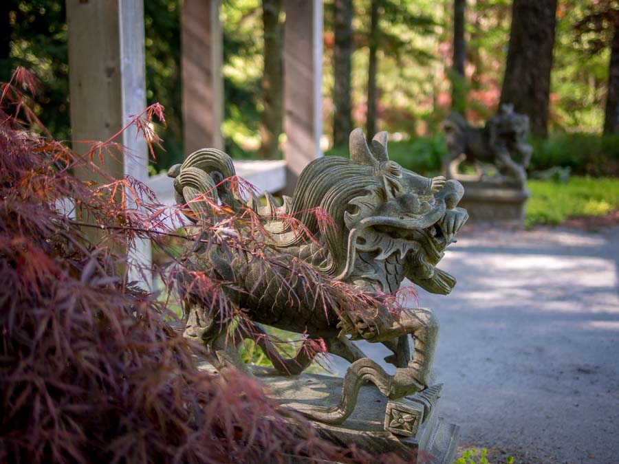 04-26 lion stone.jpg