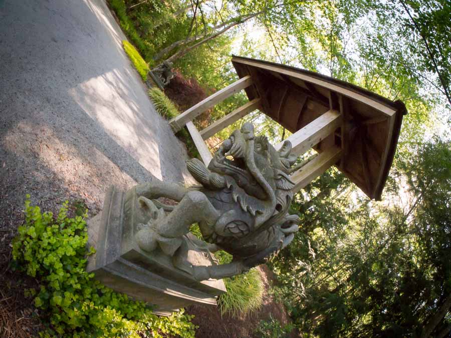 04-26 fisheye stone 01.jpg