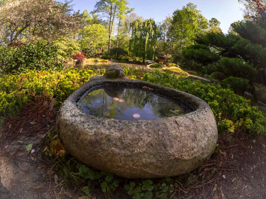 04-26 fisheye stone 02.jpg