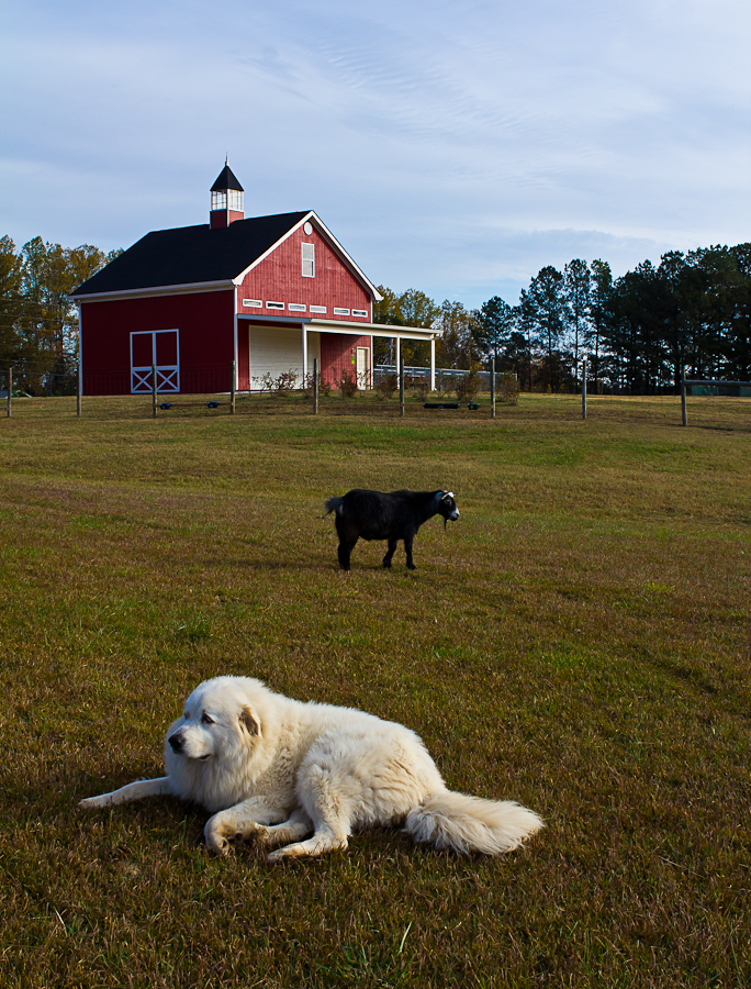 concert Kim-1184.jpg