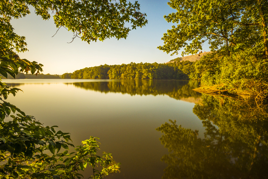 _DSC6620_9374 - Copy.JPG