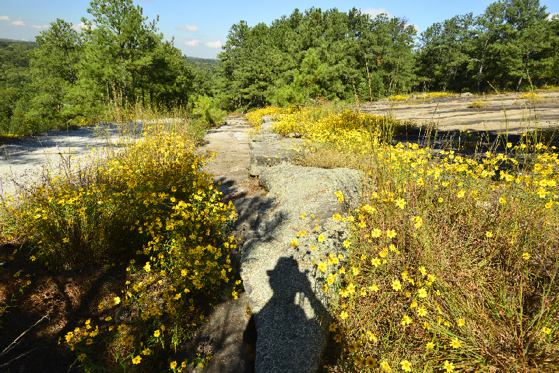 _DSC6652_9405 - Copy.JPG