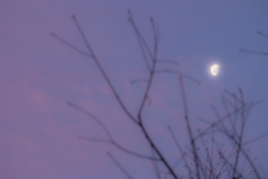 moon 01.jpg