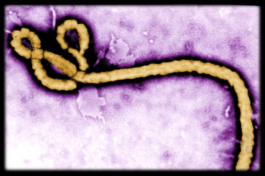 Ebola.jpg