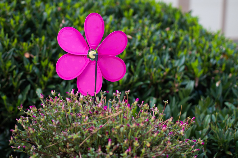 late afternoon 02.jpg