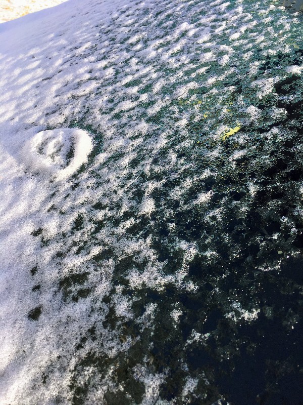 IMG_0568 - Edited.jpg