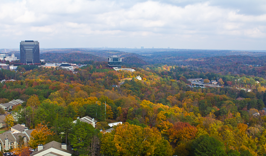 concert Kim-1252.jpg