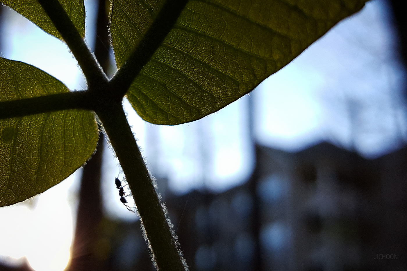 2016-03-28 19.06.02-Edit.jpg