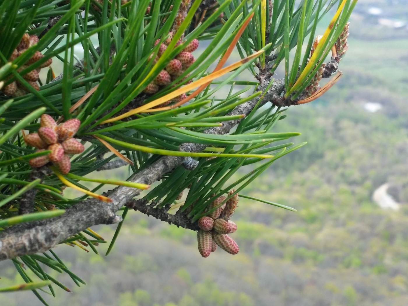 20160410_111451 (1).jpg