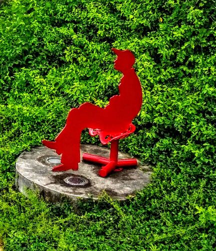 20160501_110255-1 (1).jpg