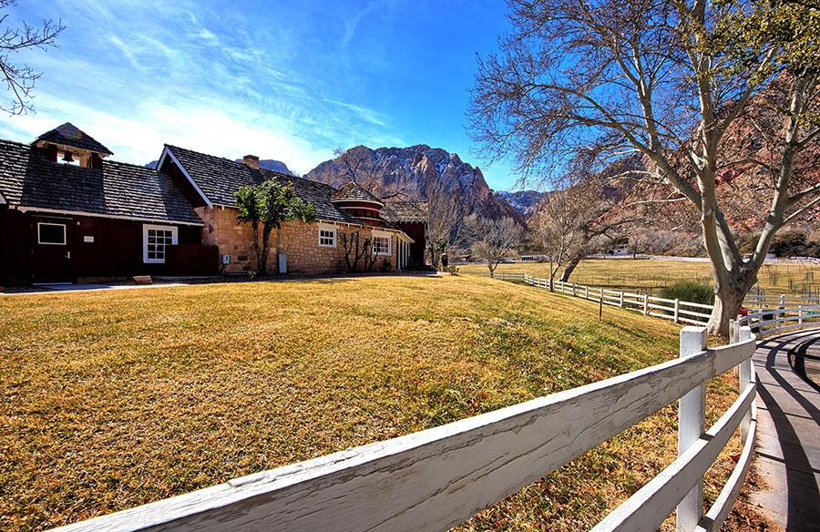 DSC_6590_1_2_easy PS Crop 900px.jpg