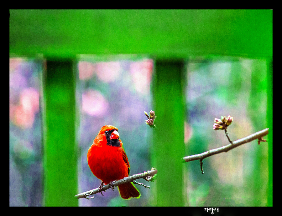 DSC_1345 copy (2).jpg