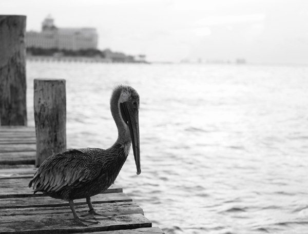 IMG_1228.JPG : 여름휴가