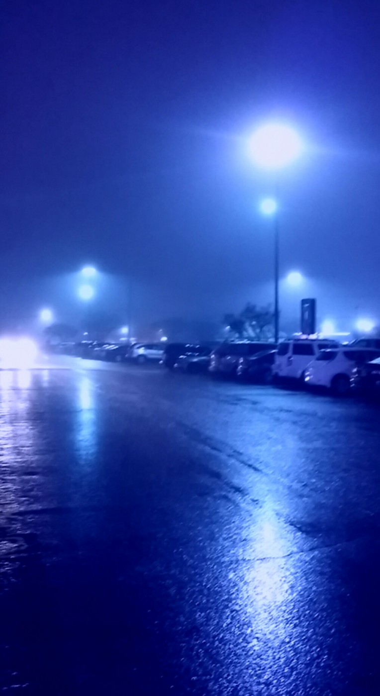 2014-12-24 06.48.46.jpg