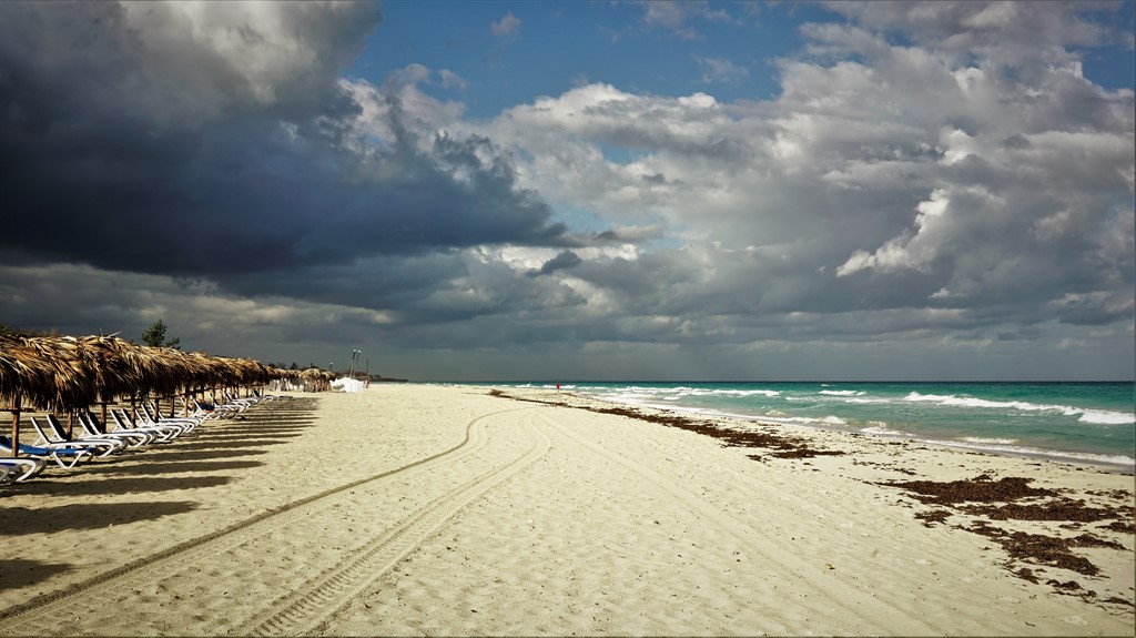 DSC01565_1024x575 (1).jpg