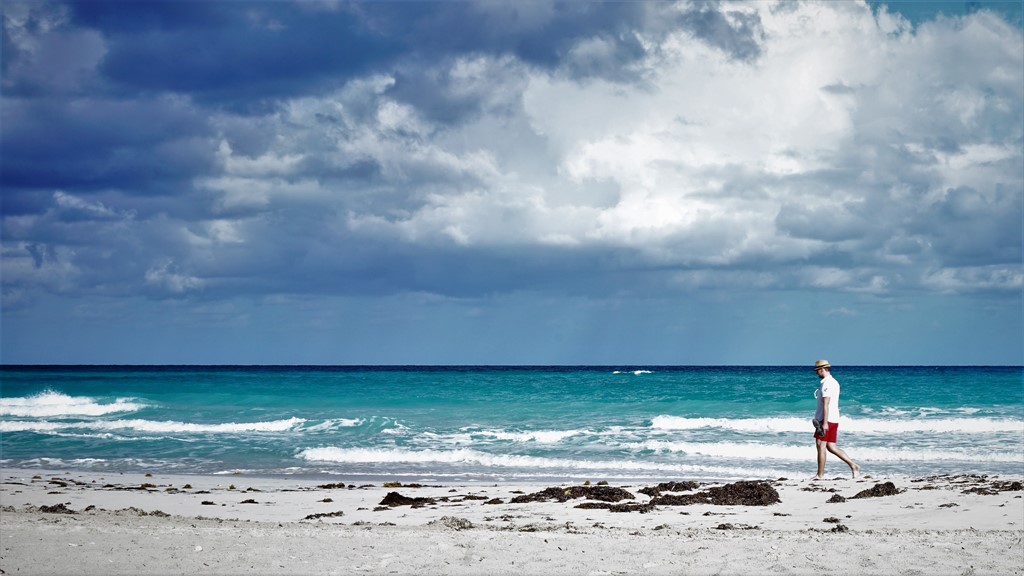 DSC01587_1024x576 (1).jpg