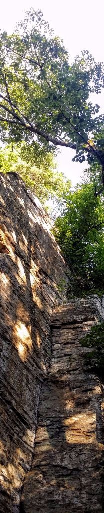 20160806_081000 (1) (1).jpg