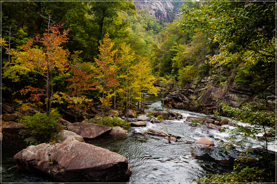 fallGATallulahGorge-1.jpg
