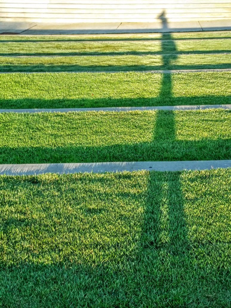 20160717_071438 (1) (1).jpg