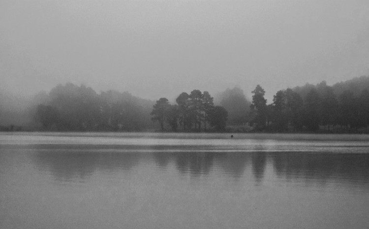 DSC_0406.NEF (1).jpg