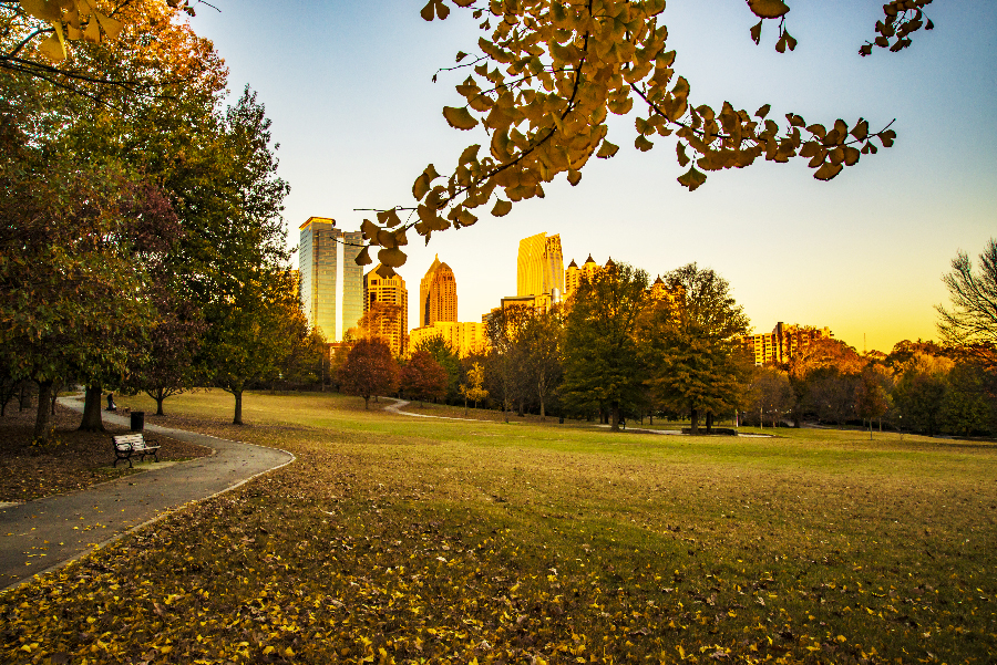 _DSC0707_3595 copy.jpg