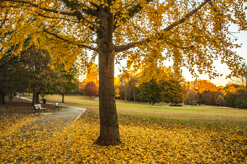 _DSC0709_3597 copy.jpg