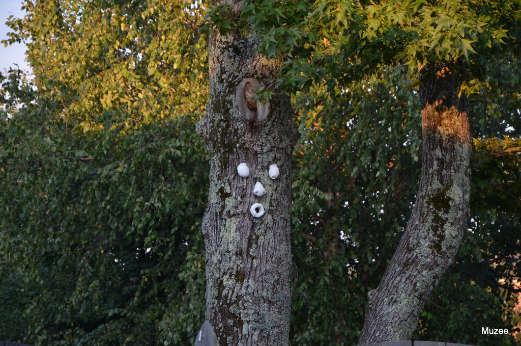 1-DSC_0076.JPG : 우리동네 파수꾼