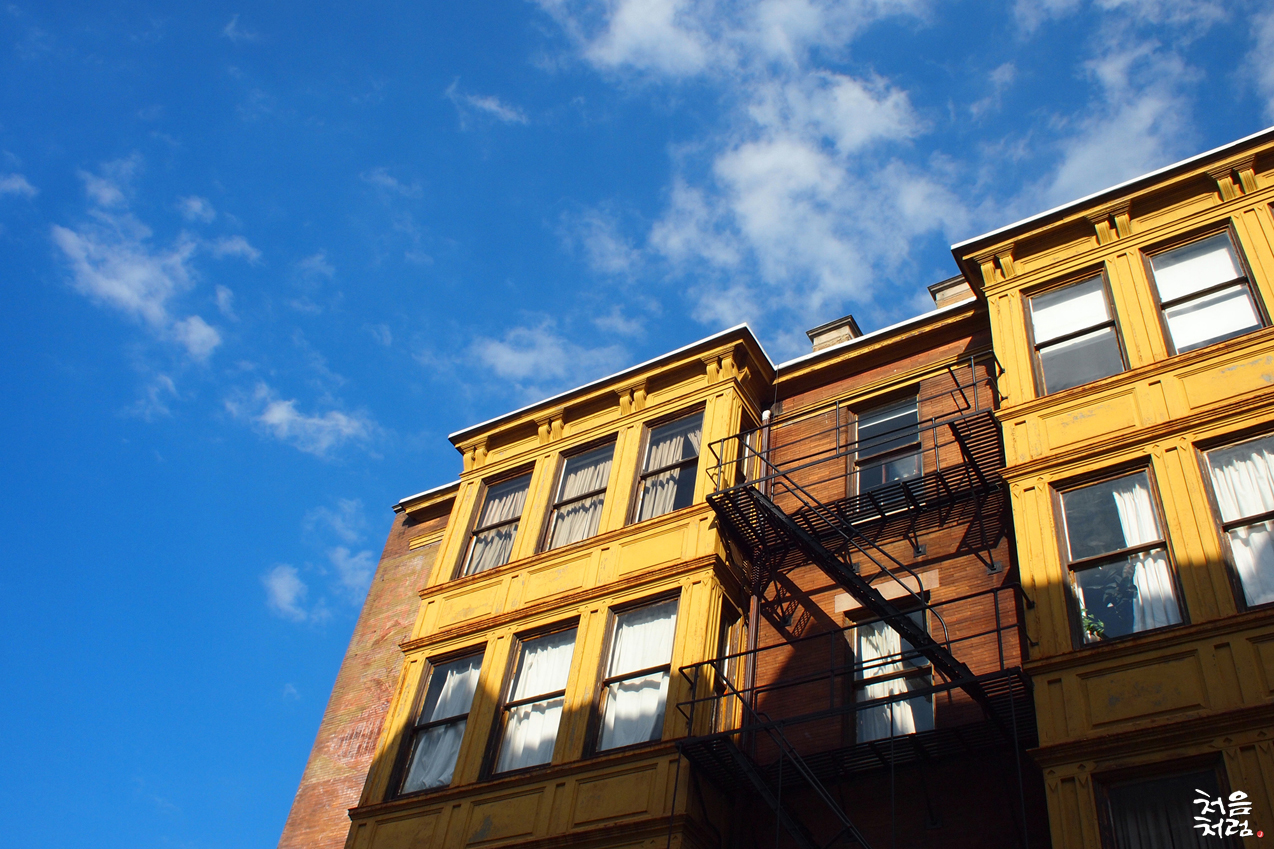 P8181085-1.jpg : 노란빌딩 그앞의 기분좋은나