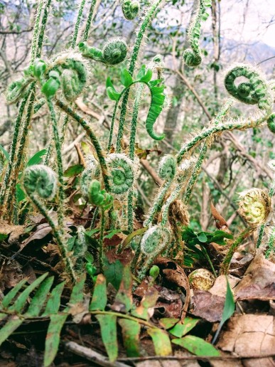 20170416_144808 (1) (1) (1).jpg