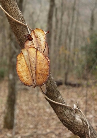 20170416_144504-1 (1) (1).jpg