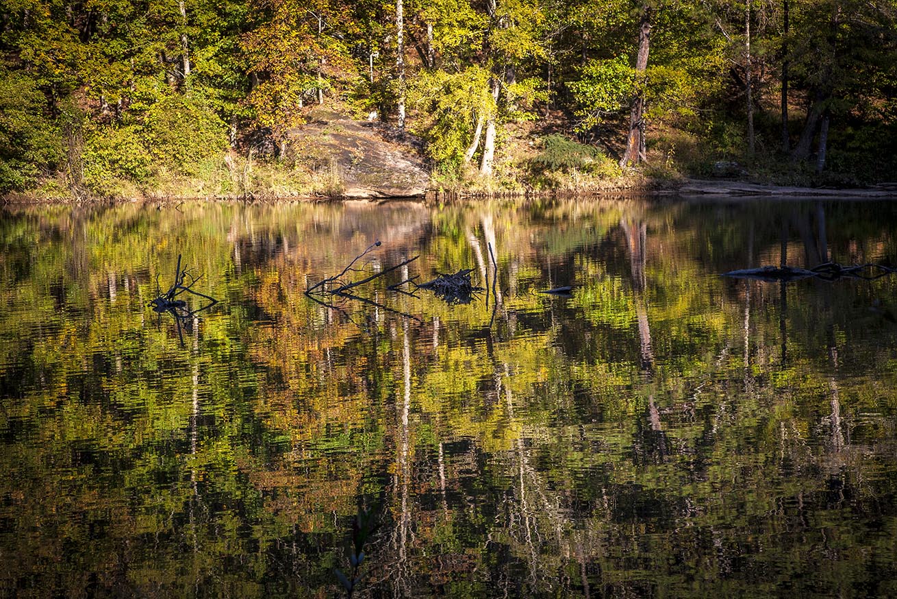 fall on the water.jpg