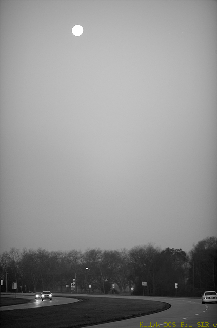 2015-03-07 06.47.52.jpg