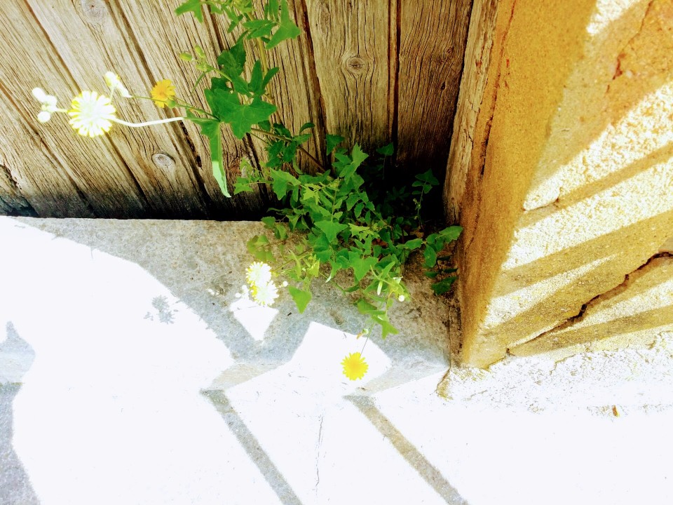 20170712_130902 (1).jpg