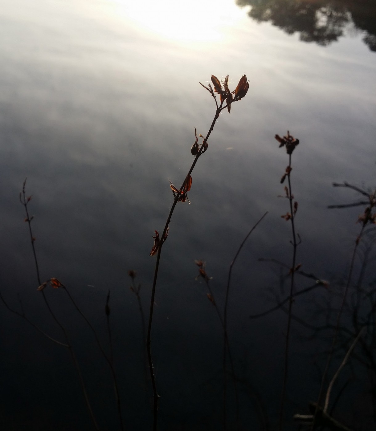 20160312_073021 (2).jpg