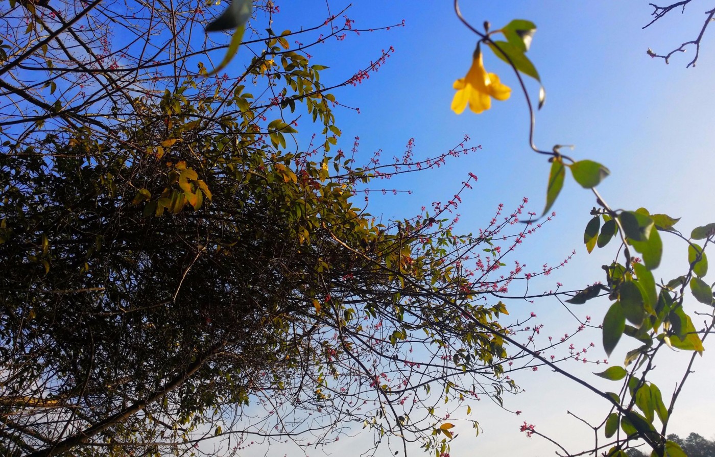 20160312_075657 (1).jpg