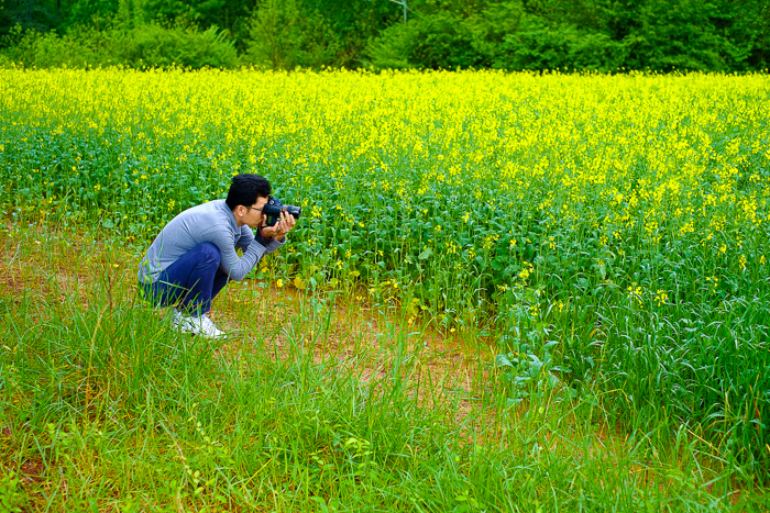 Canola-Flower-Photo-Trip-2.jpg