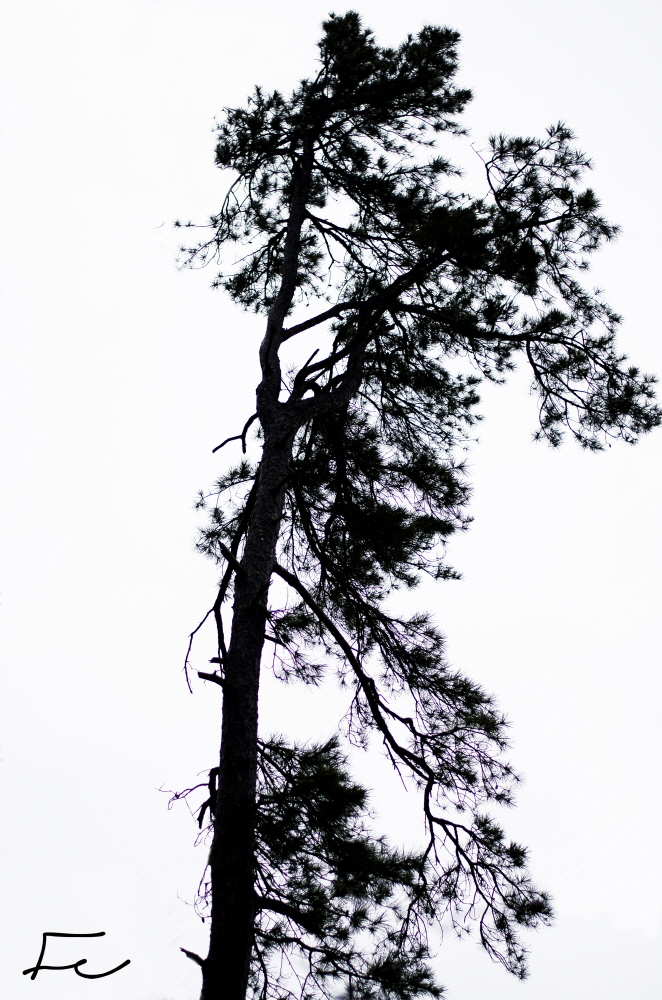 Resized_DSC_4982 사본 사본 사본.jpg