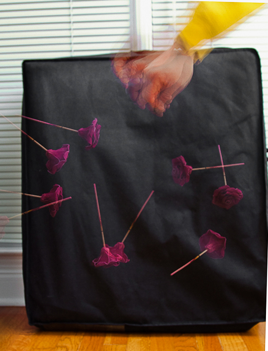 stroboscopic Flash-1.jpg