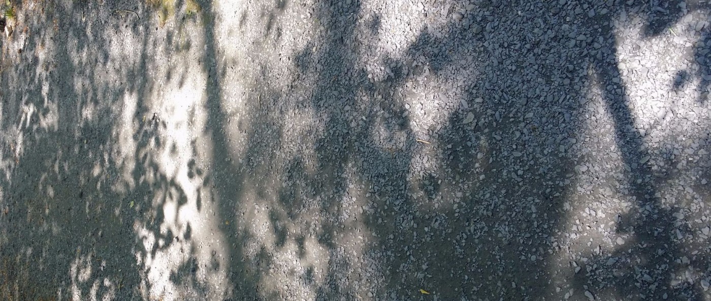 20160418_141702 (2) (1).jpg