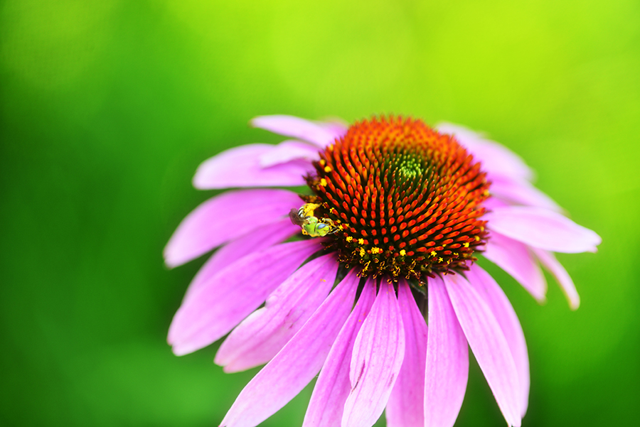 krog tunnel st._0487.JPG